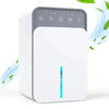 Intelligent Portable Dehumidifier with Deodorizing
