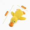 Durable Squeaky Dog Chew Toys