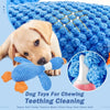 Durable Squeaky Dog Chew Toys