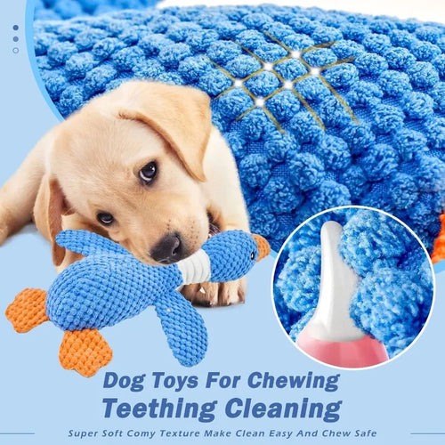 Durable Squeaky Dog Chew Toys