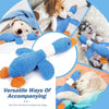 Durable Squeaky Dog Chew Toys