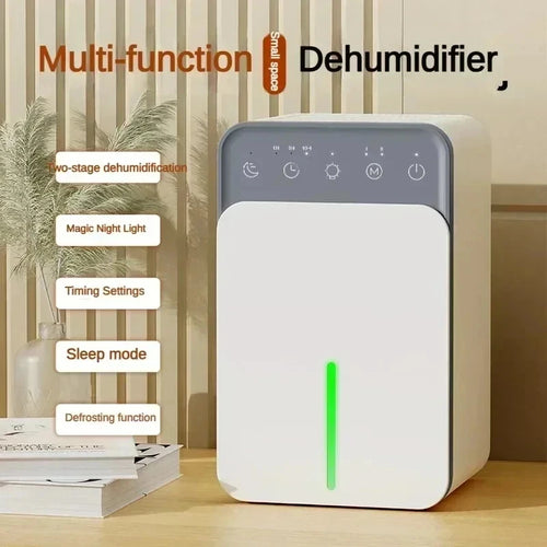 Intelligent Portable Dehumidifier with Deodorizing